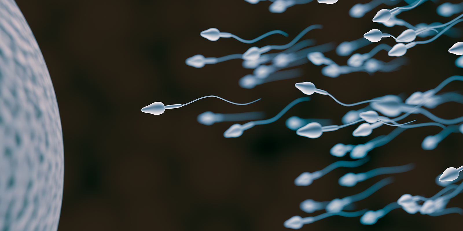 sperm-donor-vial-types-seattle-sperm-bank